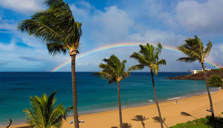 Dictionary – Short-Term Vacation Rental Compliance Product Image